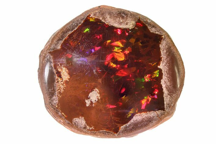 Polished Ethiopian Chocolate Opal Nodule - Pink and Purple! #316200